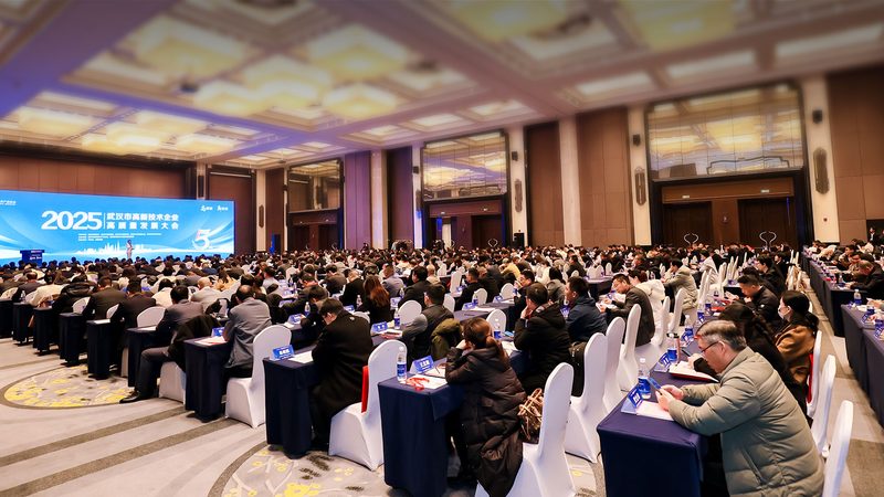 智慧城市：信息技术服务厂家的关键角色与挑战